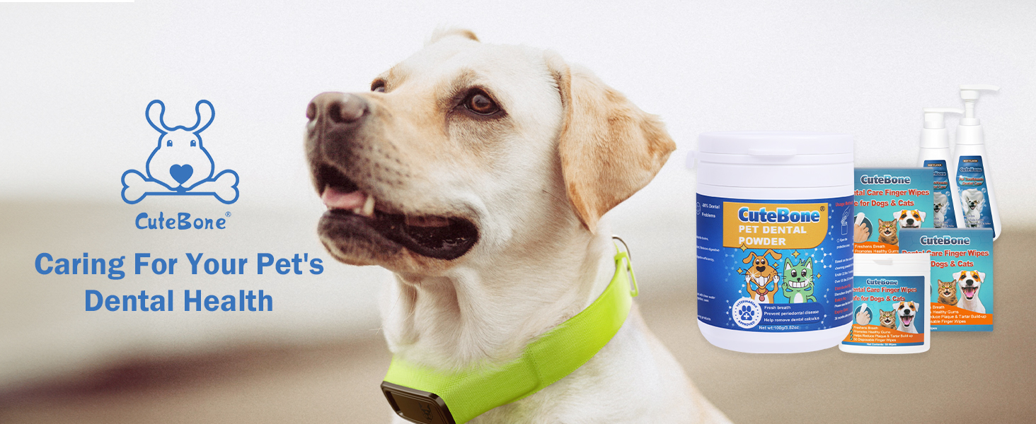 dog food dental powder