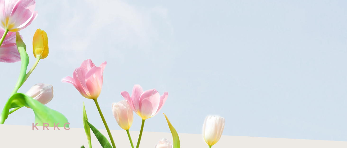 KRKC Moissanite Necklace Valentines Gift For Mom Wife