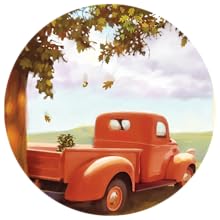 Max Lucado Oak Inside the Acorn