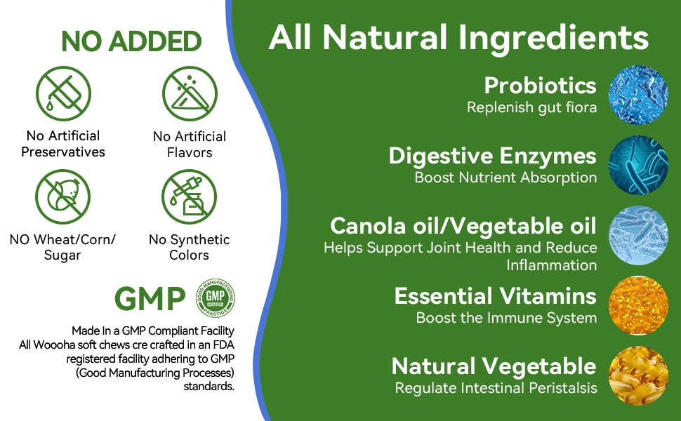 dogs probiotics for digestive health dog gut health probiotic for dog pre and probiotics for dogs