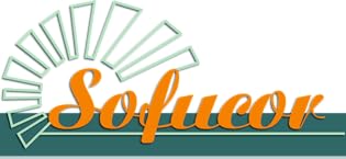 Sofucor Ceiling Fan with Lights