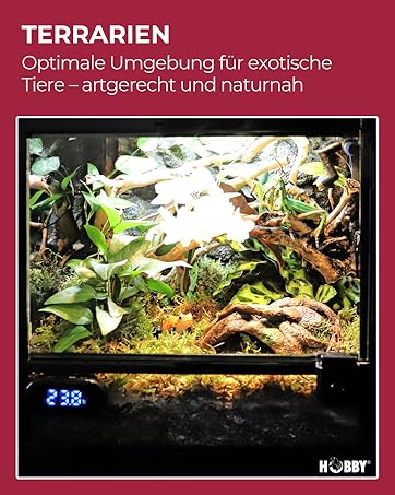 Terrarien