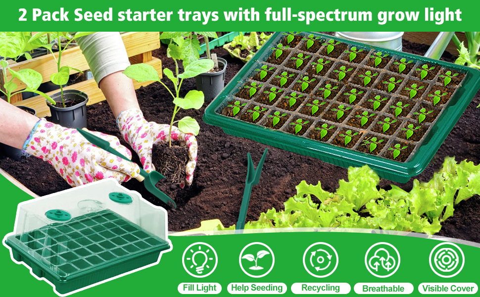 Upgrade Seed Starter Tray With Grow Light 2 Pack 80 Cells Seedling Tray