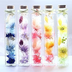 Amazon | ハーバリウム Lサイズ(高さ21,3cm) 1本 日本製 ギフト