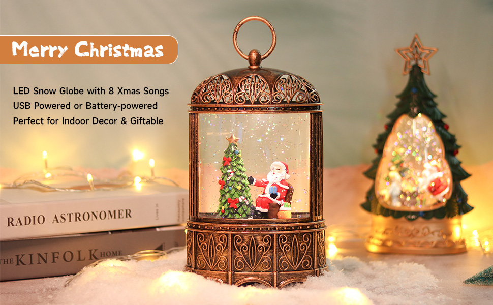 Amazon.com: Snow Globe Christmas Ornaments 2025 Retro Bird