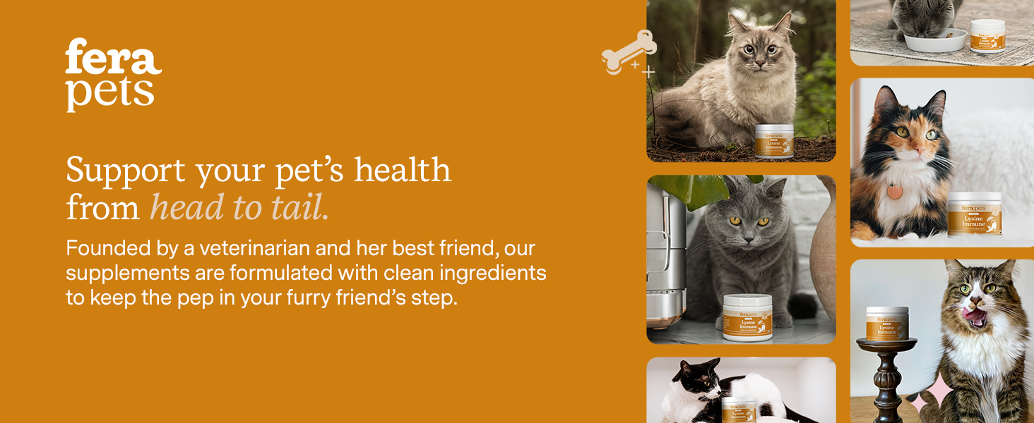 Our supplements are formulated with clean ingredients to keep the pep in your furry friend's step