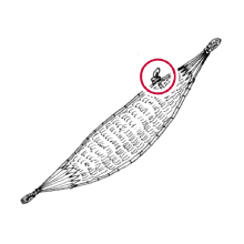 Amazon.co.jp: the Hammock ザハンモック メキシカンハンモック