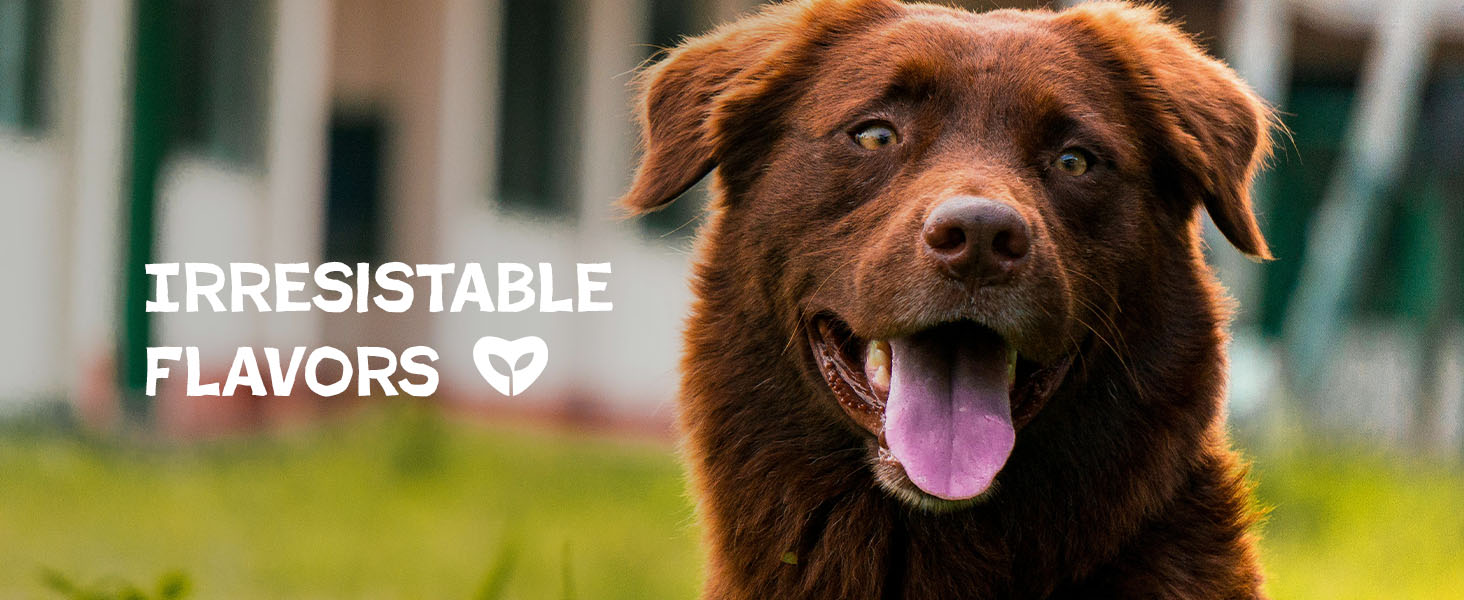 bone broth training treats with collagen