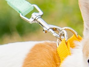 AIITLE Step in Dog Harness & Leash & Collar