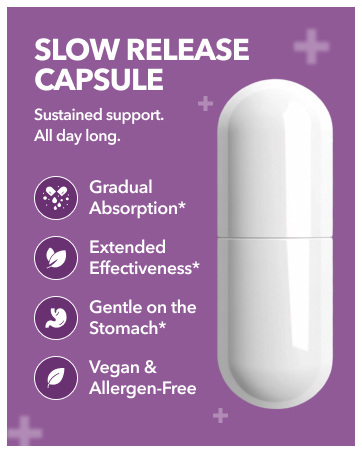 Probiotic Supplement