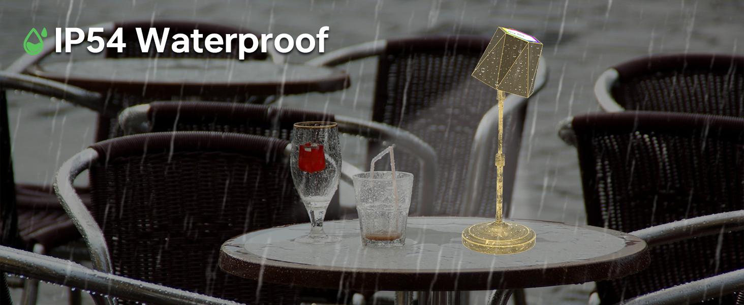 IP 54 Waterproof