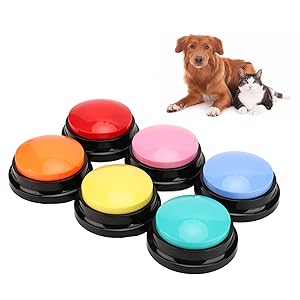 ARB「野良犬/OH! PLEASE」7インチEP他シングルレコード6枚セット 2025年最新】Yahoo!オークション - インディーズ(ジャパニーズ