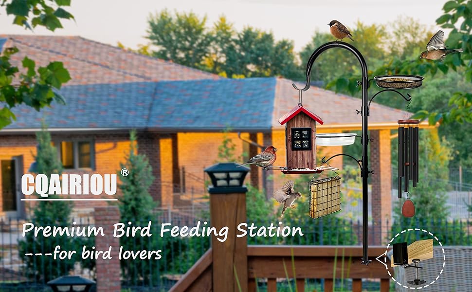 bird feeding station
