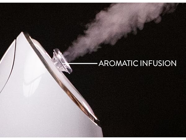 facial steamer for facial with essential oils