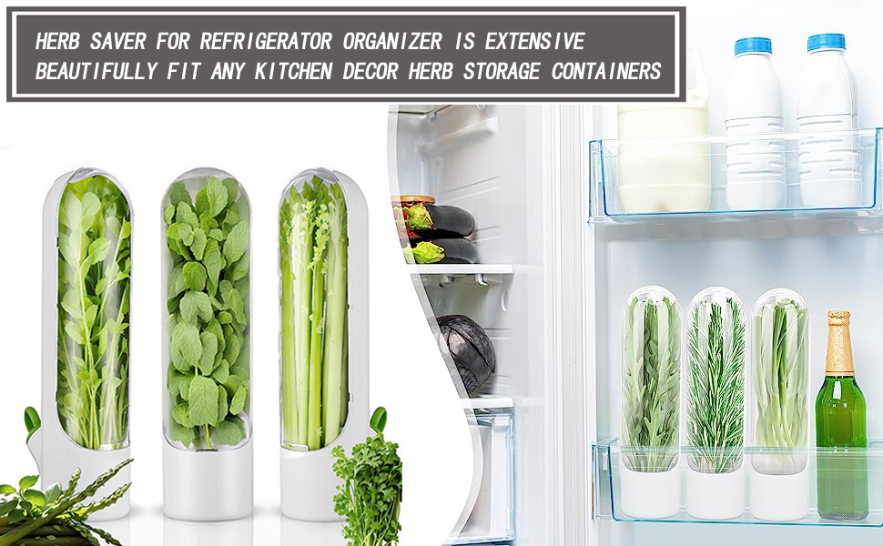 Herb Saver Pod for Fridge