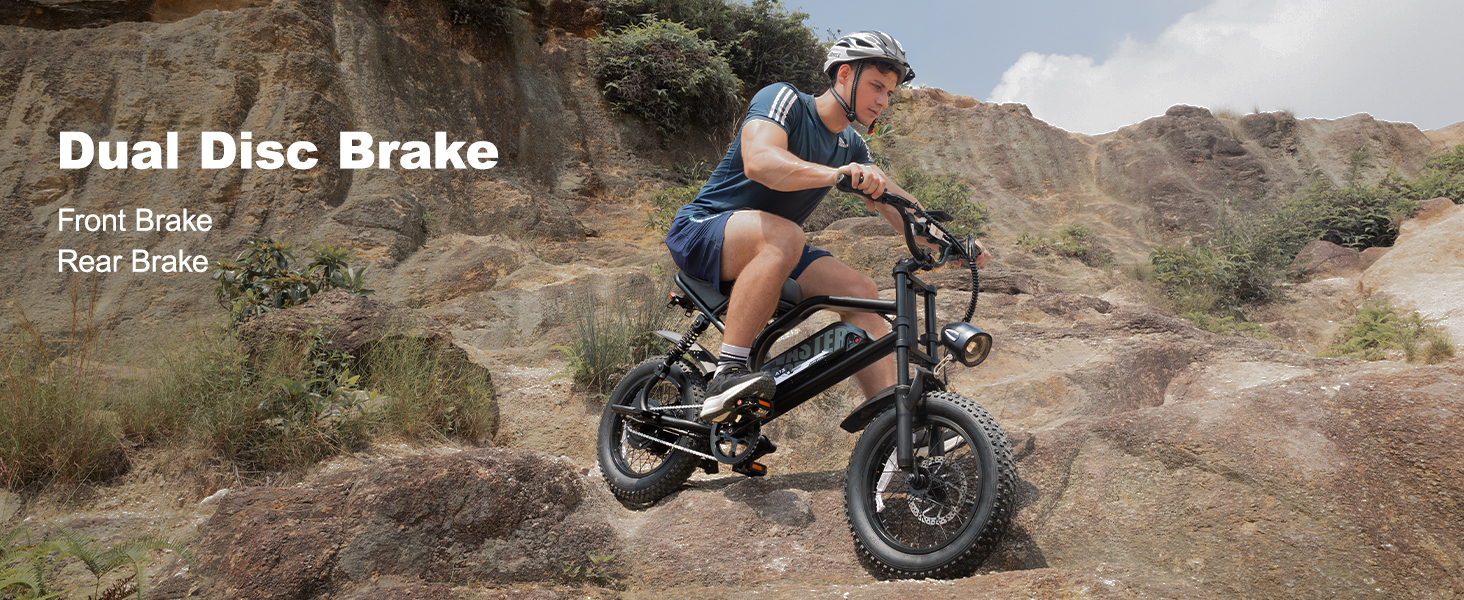 ebike