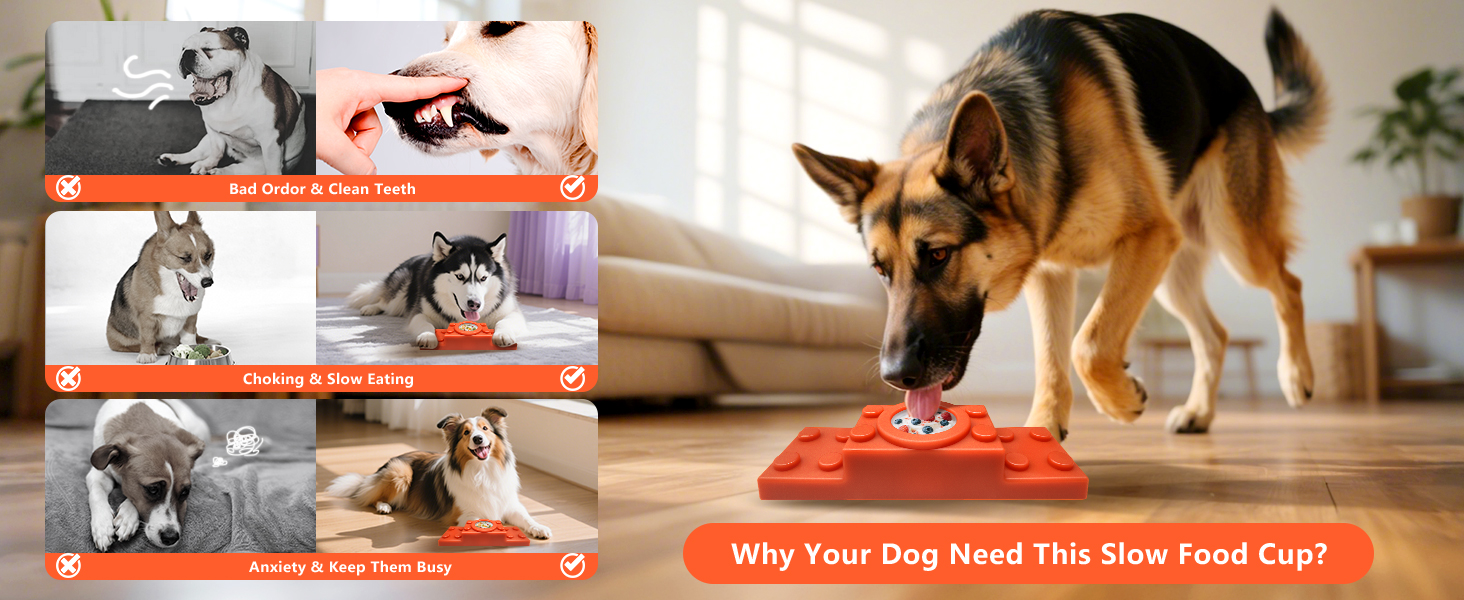 dog chew toys