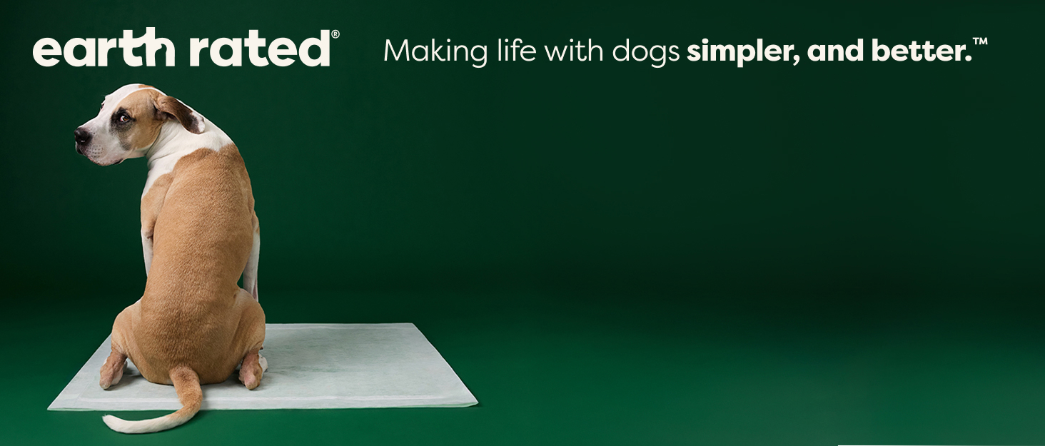 puppy pads, pee pads for dogs, dog pads, dog pee pads, pee pads, wee wee pads for dogs, potty pads