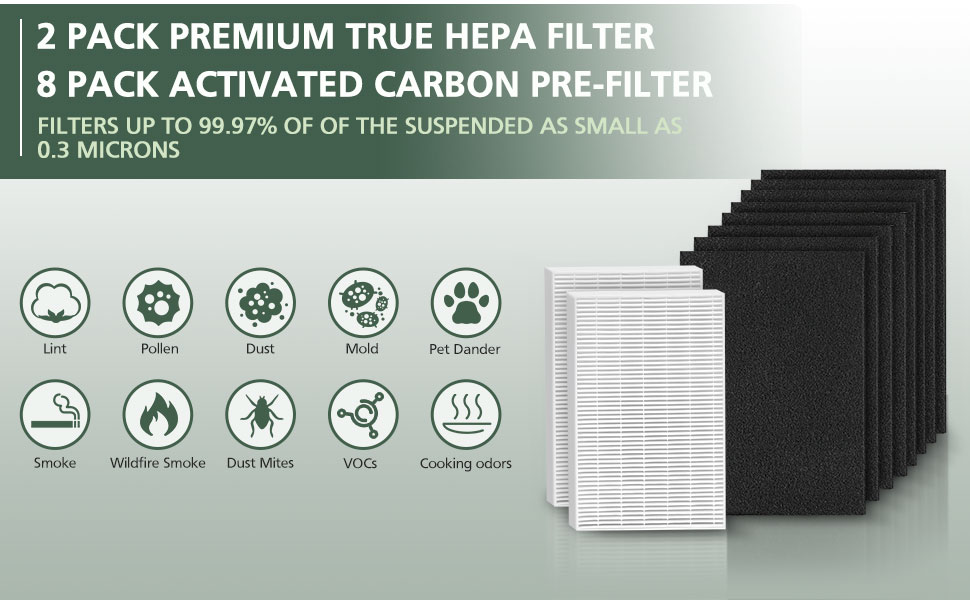 HPA100 True HEPA Filter Replacement HRFARVP100 for