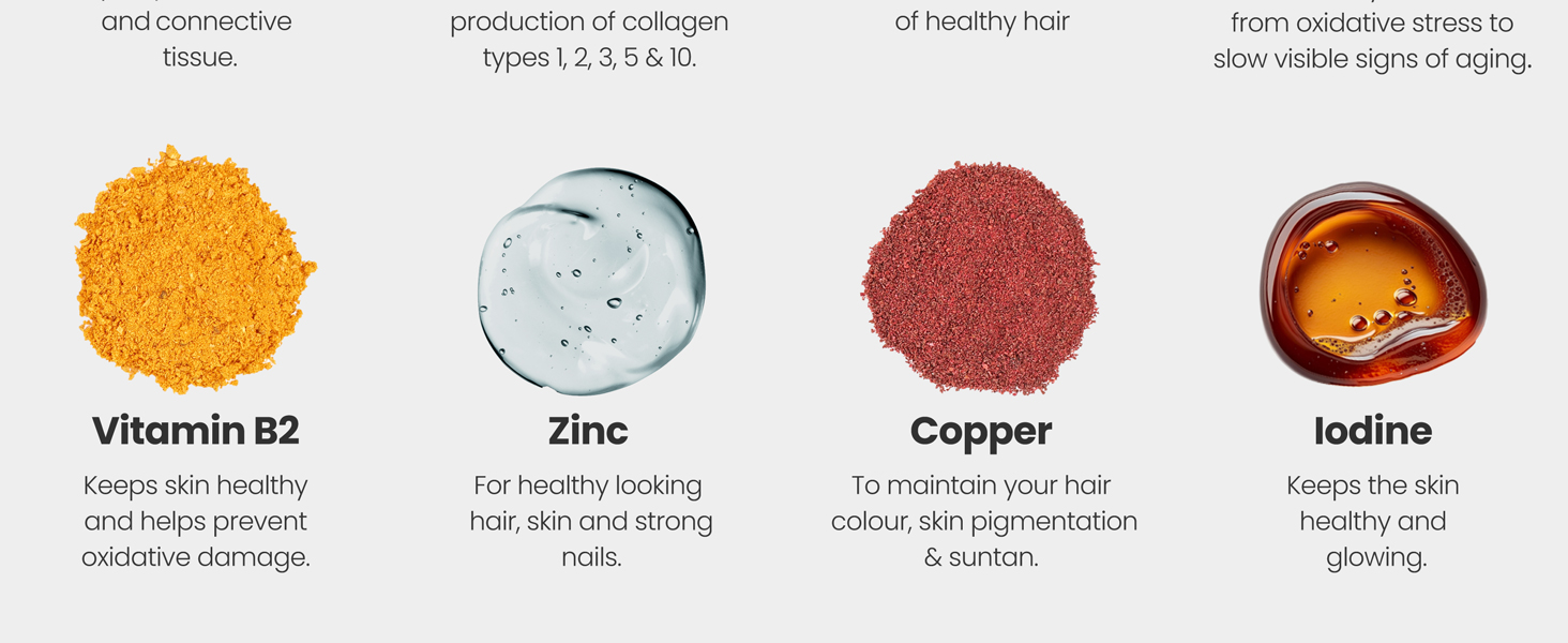 Large manufacture image 5