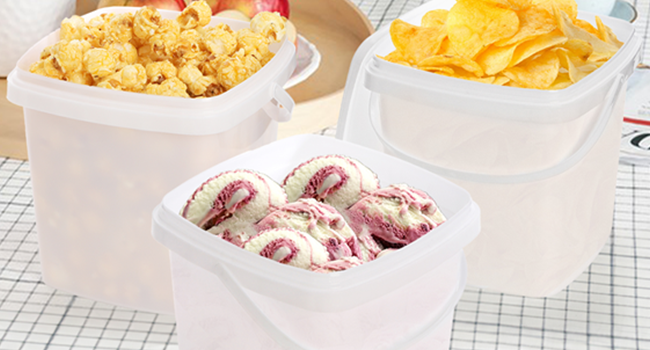 Ice Cream Container with Handle