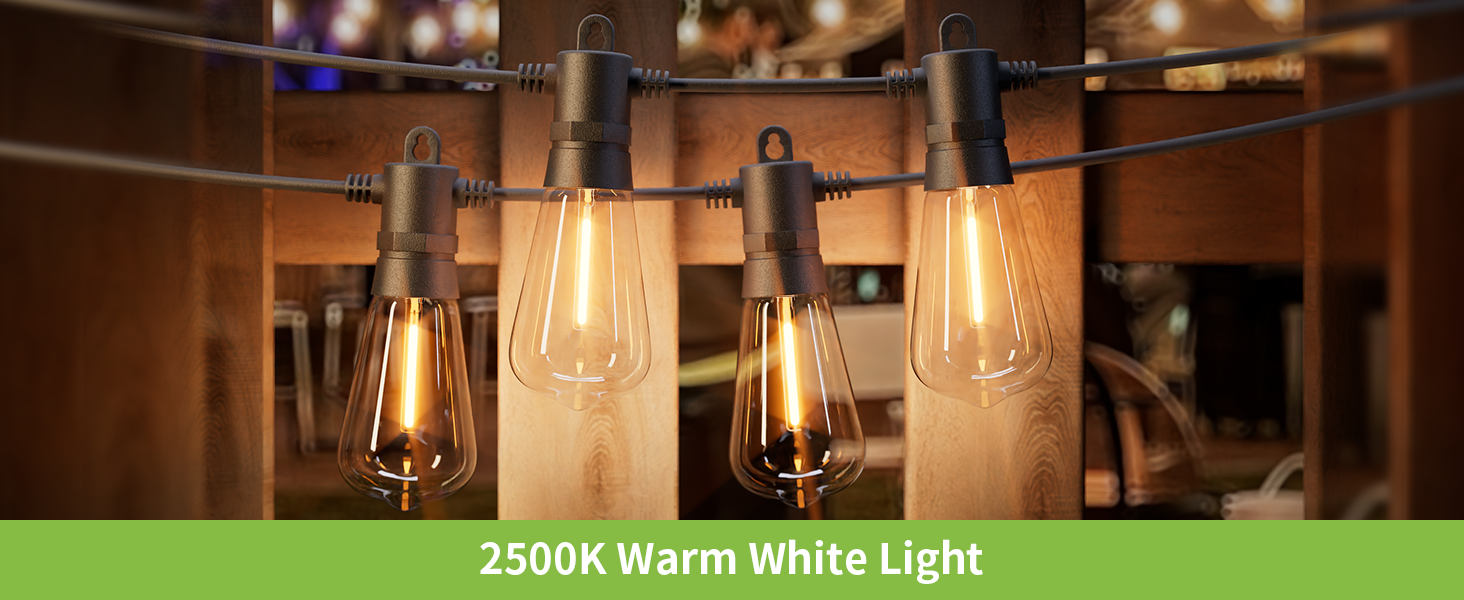 RTTY 150FT Outdoor String Lights Remote with 45pcs Vintage Shatterproof