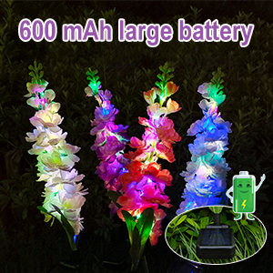 Solar  Flowers
