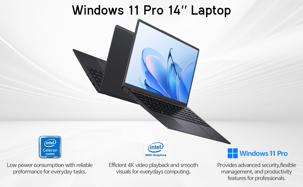 Windows 11 Pro