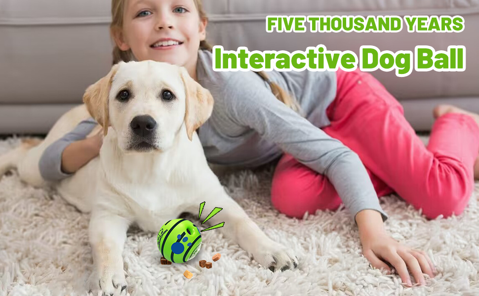 Five Thousand Years Small Wobble Dog Treat Ball