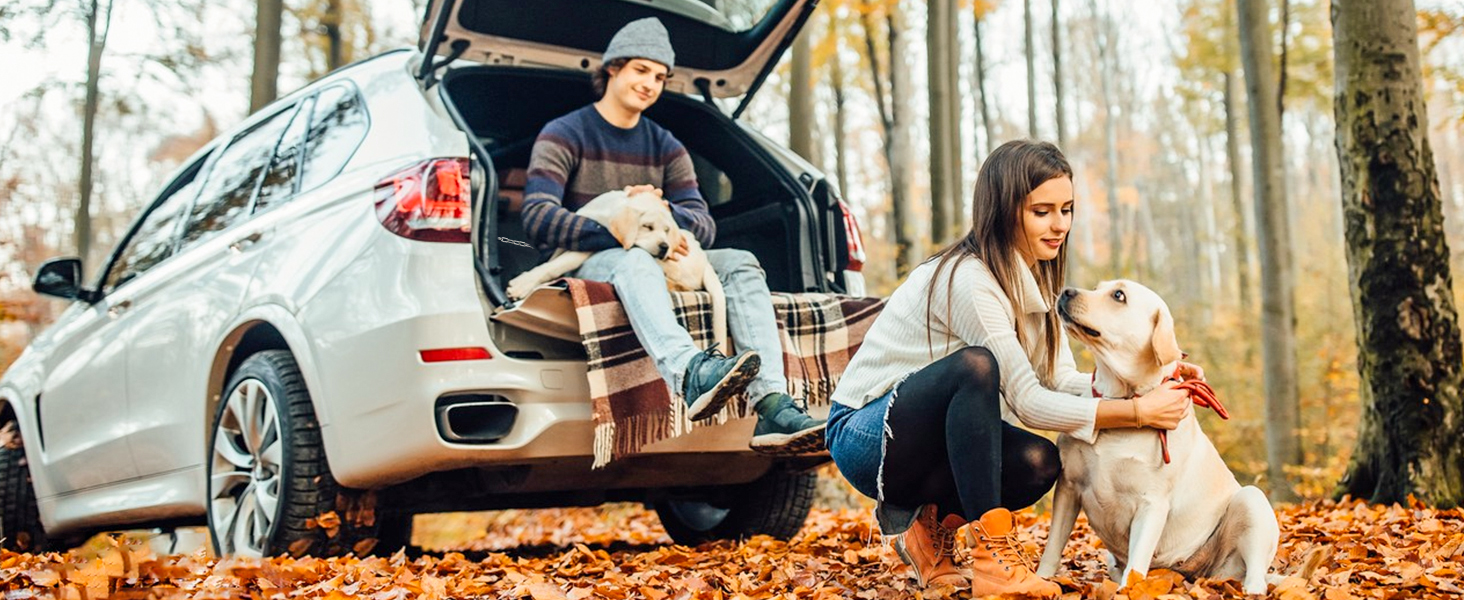 Chain Dog Truck Bed Cross Tether, Chew Proof Truck Bed Dog