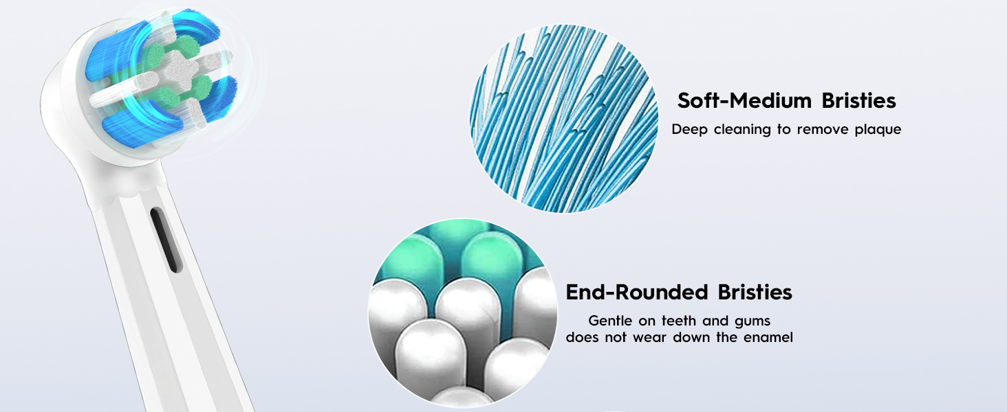 Replacement Toothbrush Heads