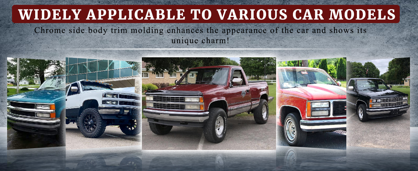 Chrome Side Body Trim Molding 