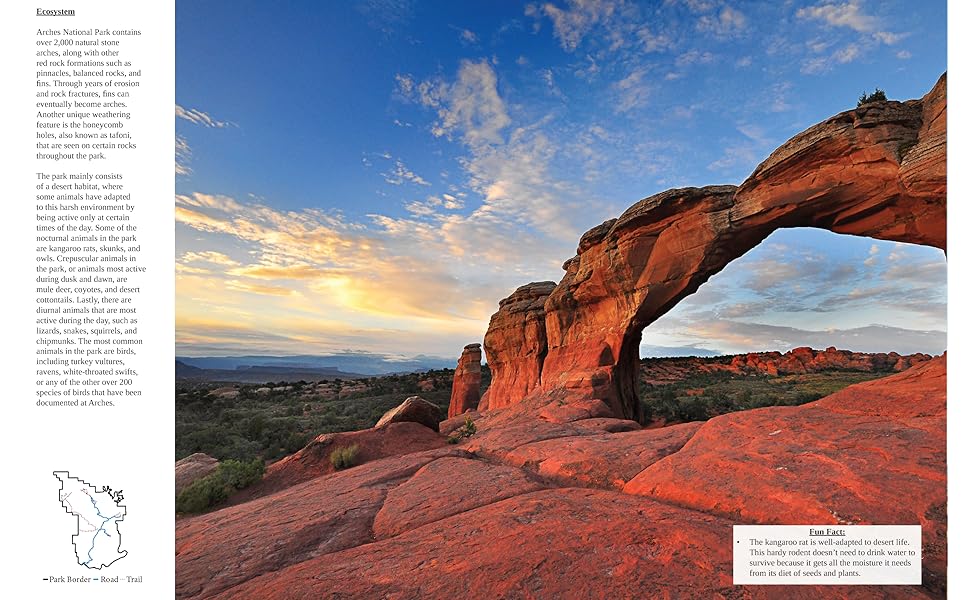 NATIONAL　PARKS　OF　AMERICA　写真集 America's National Parks | Green Bonded Leather – Graphic Image