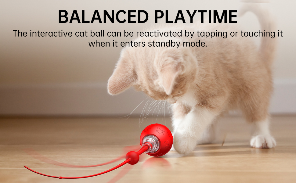 BALANCED PLAYTIME