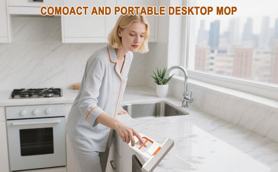 Mini Portable Short Hand Held mop