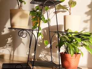 Marvel Planter Stand