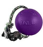Jolly Pets Romp-n-Roll Rope and Ball Dog Toy, 6 Inches/Medium, Purple