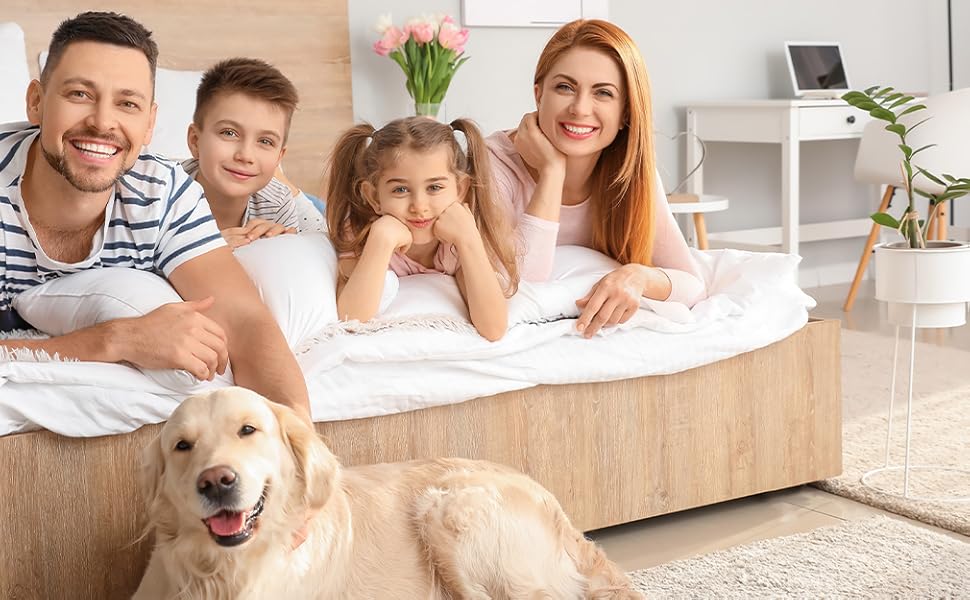 Amazon.co.jp: Creatrek 赤色光 LED LED 赤色光 ホーム 近赤外線