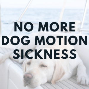 No More Dog Motion Sickness