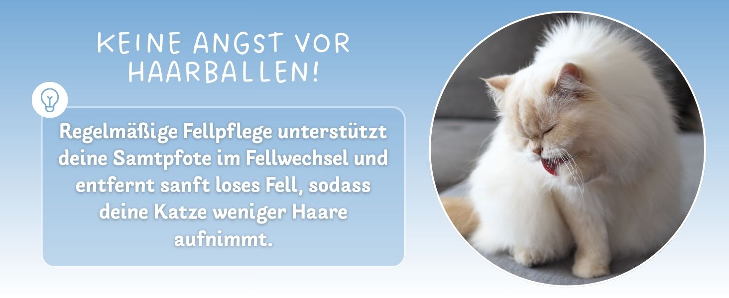 Aplus-Inhaltsbild