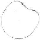 Drawing tutorial cherry step 1