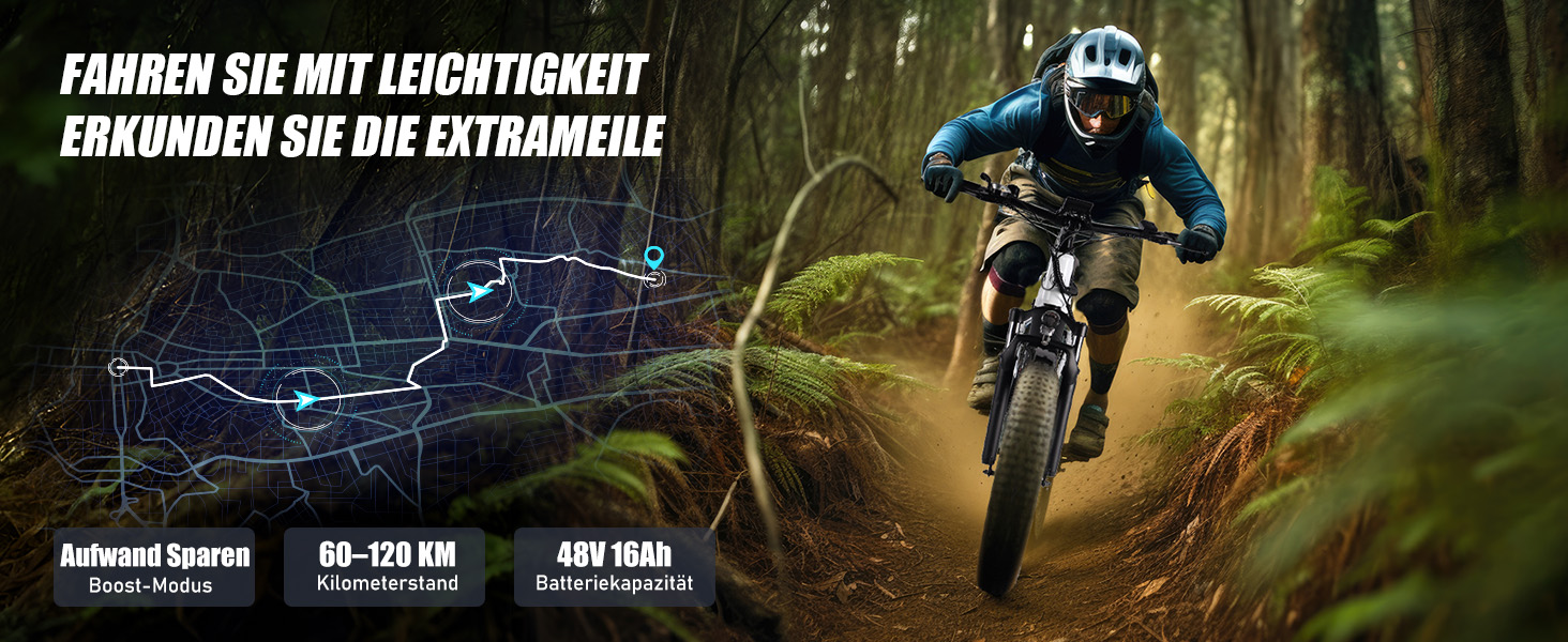 ebike