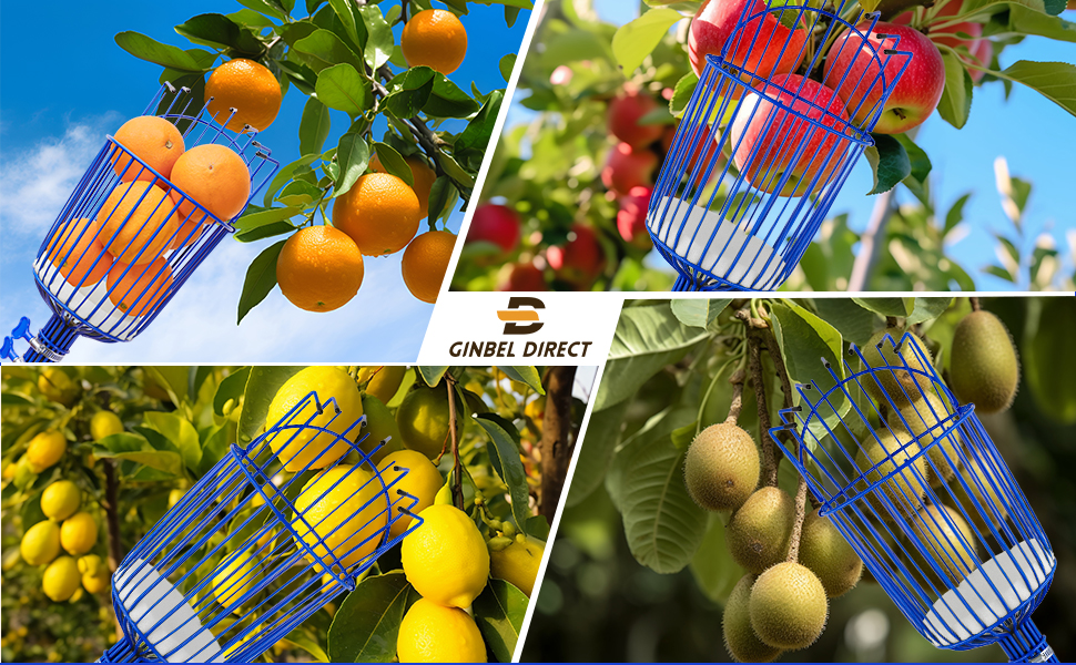 Large manufacture image 4