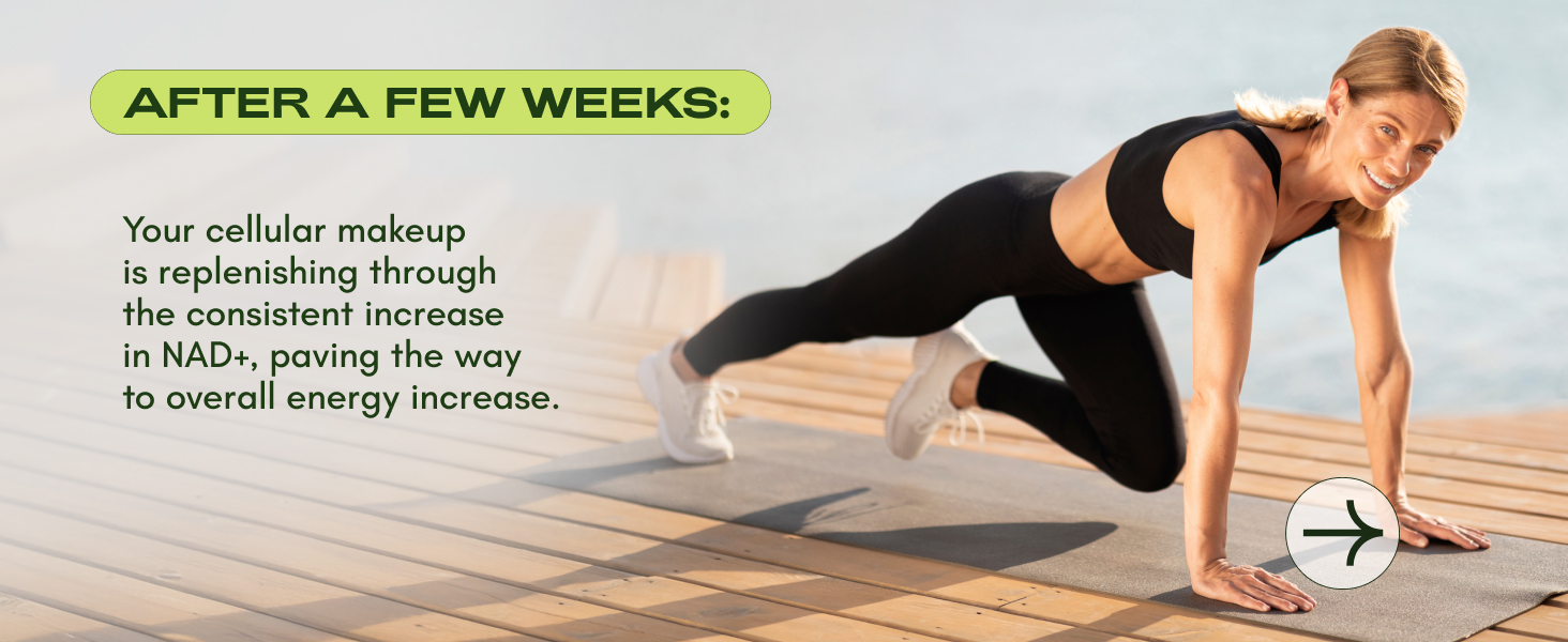 nad catakor best seller warehouse sale clearance maca root capsules for women amino acid supplement