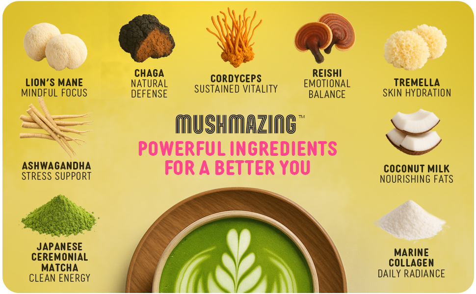 Mushmazing Mushroom Matcha Powder Ceremonial Grade, Macha Tea Powder, Lions Mane and Ashwagandha