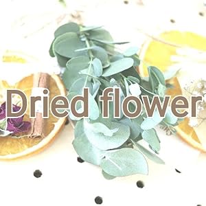 Amazon｜11collection ドライフラワー ガーランド ナチュラルピンク