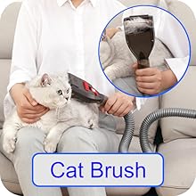Cat Brush