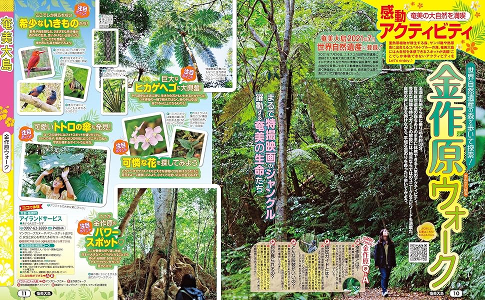 【中古】 るるぶ屋久島奄美 ’９９～’００/ＪＴＢパブリッシング るるぶ 屋久島・奄美・種子島('20) るるぶ情報版 中古本・書籍