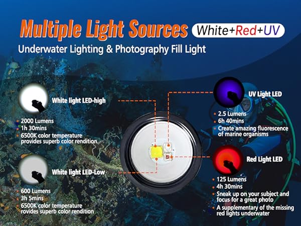 OrcaTorch D710V Underwater Video Light