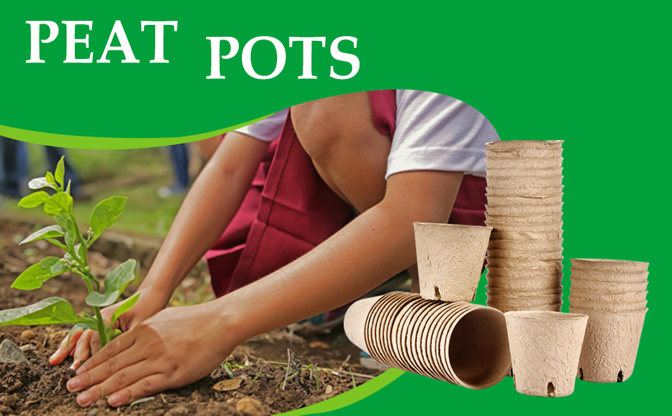 peat pots for seedlings
